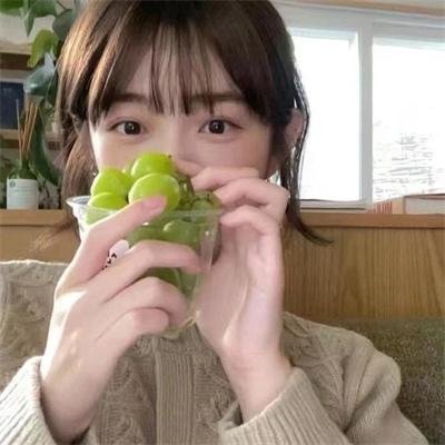拳脚之路
